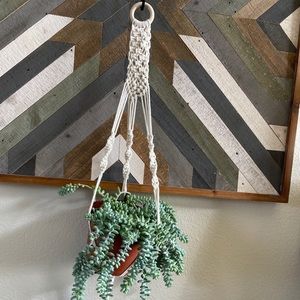 Macrame plant hanger